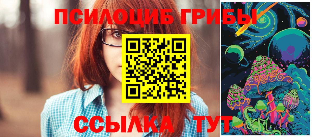 Псилоцибиновые грибы ЛСД Зеленодольск