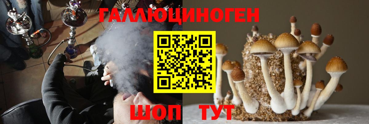 Галлюциногенные грибы Psilocybine cubensis  Галлюциногенные грибы Psilocybe  цена   Зеленодольск  Вход с VPN 